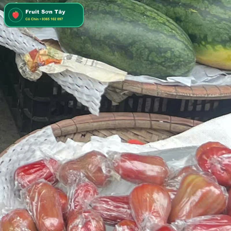 Roi Đỏ An Phước Miền Tây Mọng Nước Giòn Ngọt