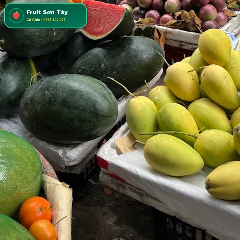 Dưa Hấu Không Hạt Mặt Trời Đỏ Ruột Đỏ Mọng Nước