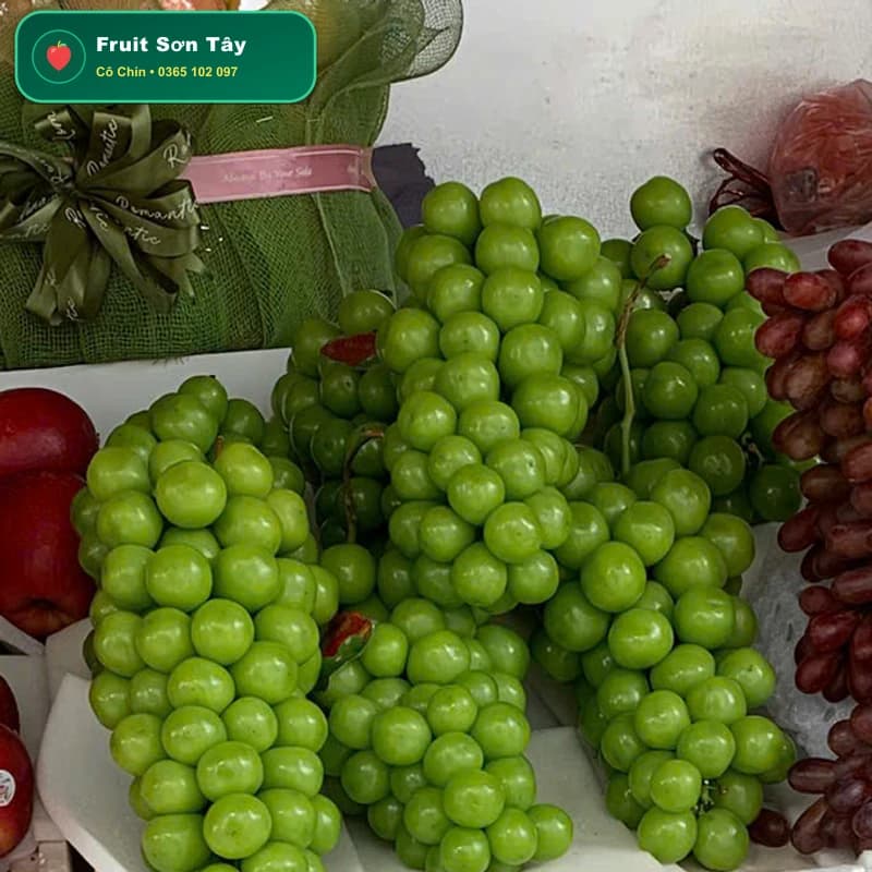 Nho Xanh Không Hạt Ninh Thuận (Chùm Dài Trĩu Quả Mọng Nước)