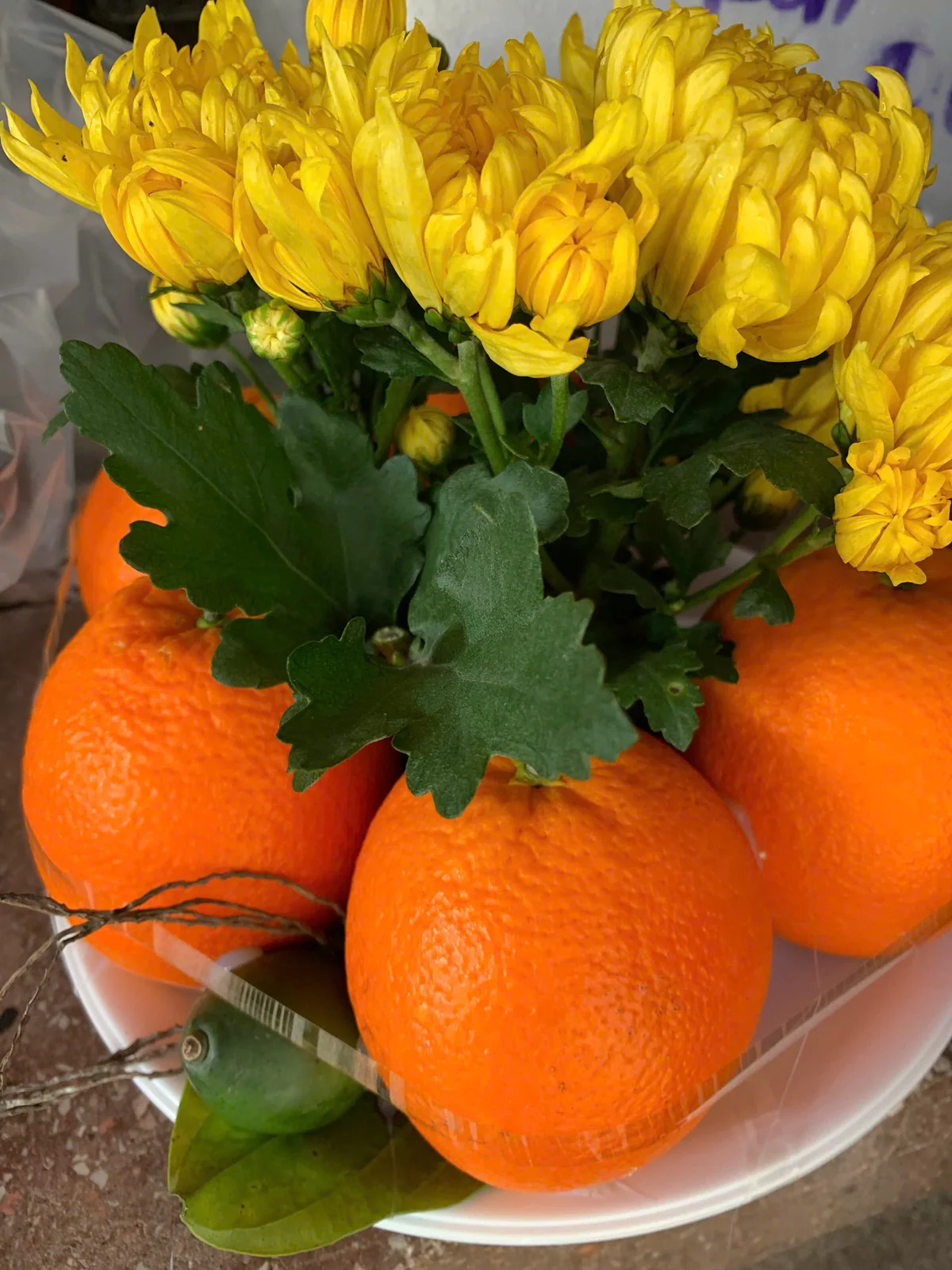 Đĩa Quả Dâng Ban Thờ Gia Tiên & Thần Tài Cầu Tài Lộc (Cô Chín Làm Thủ Công)