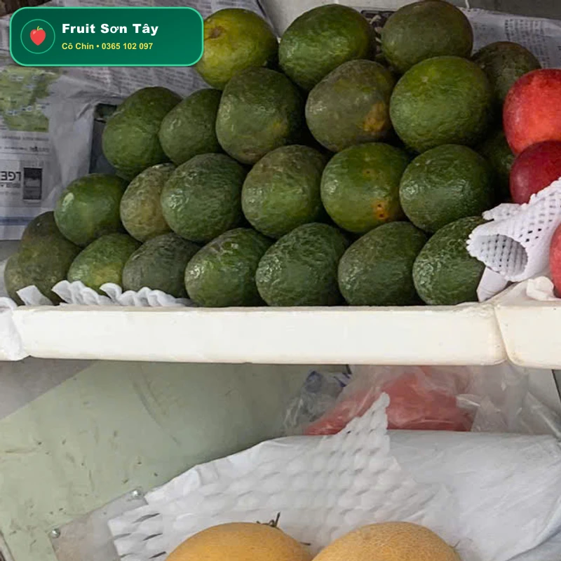 Bơ Sáp Đắk Lắk Dẻo Quánh Béo Ngậy Cơm Vàng