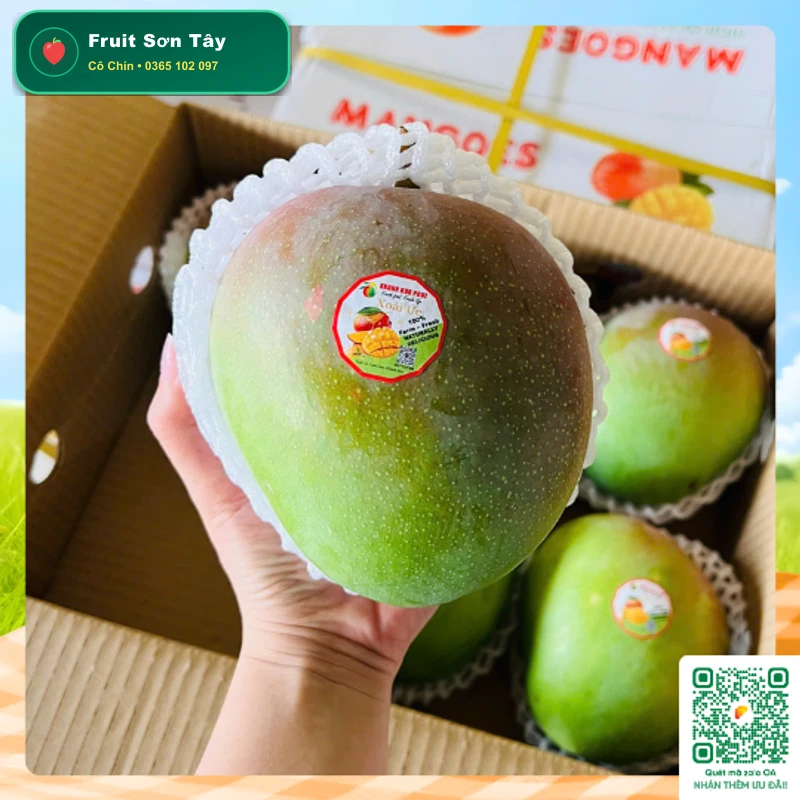 Bưởi Da Xanh Bến Tre Ruột Hồng Mọng Nước (1.3kg - 1.5kg)