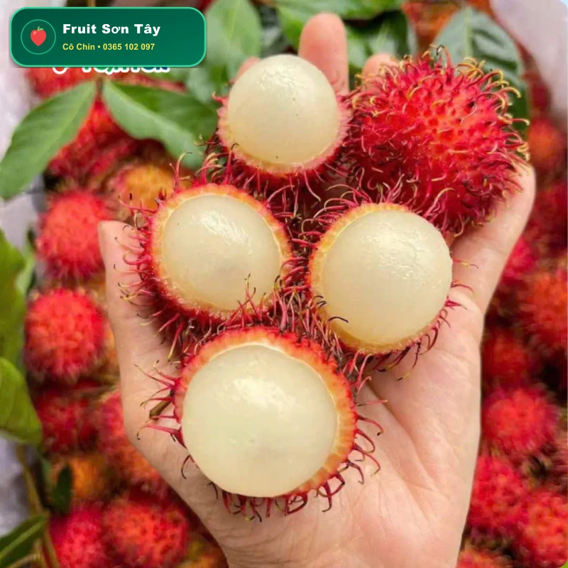 Chôm Chôm Thái Miền Tây Cơm Dày Tróc Tép