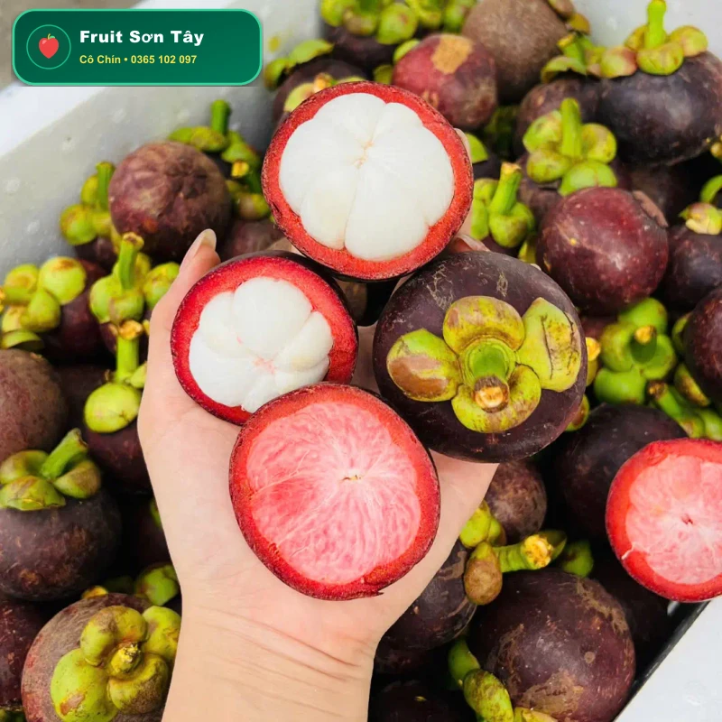 Măng Cụt Bảo Lộc Múi Trắng Ngần Ngọt Mát (Bao Từng Quả)