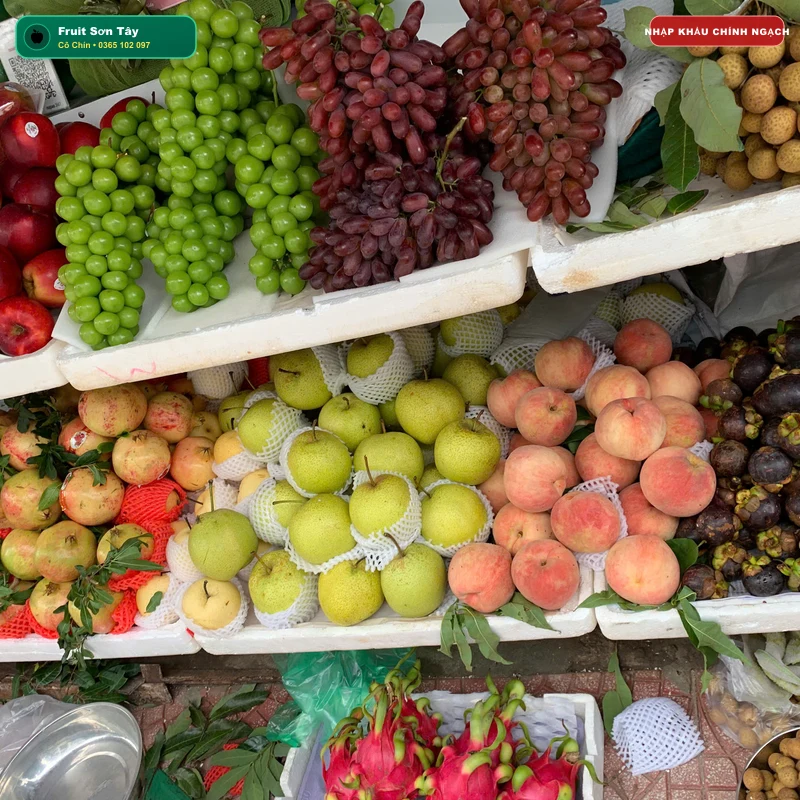 Nho Xanh Không Hạt Autumn Crisp Úc/Mỹ (Chùm Đanh Giòn Tan Ngọt Lịm)