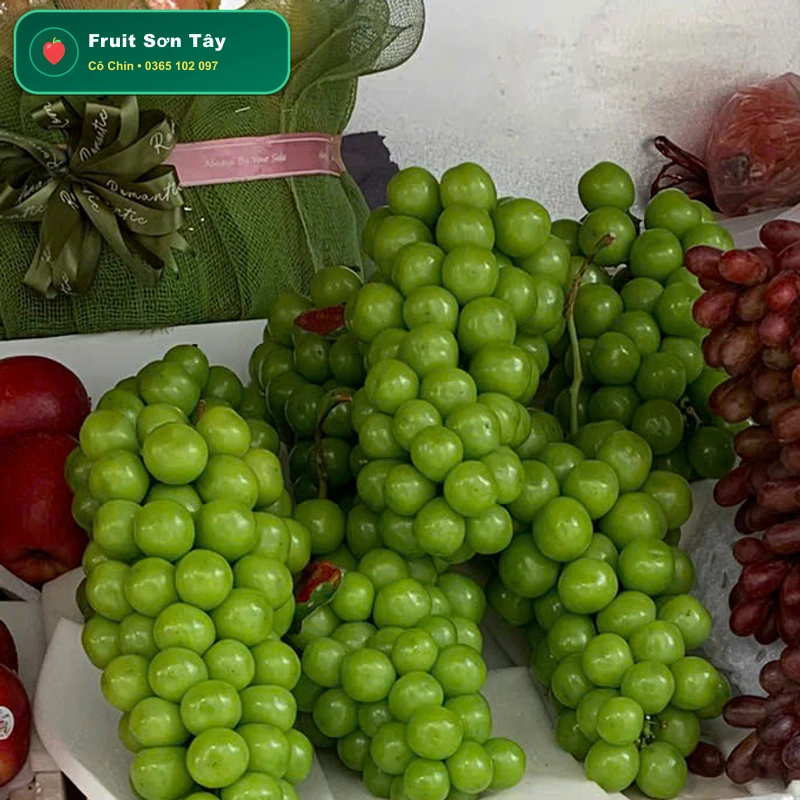 Nho Xanh Không Hạt Ninh Thuận (Chùm Dài Trĩu Quả Mọng Nước)